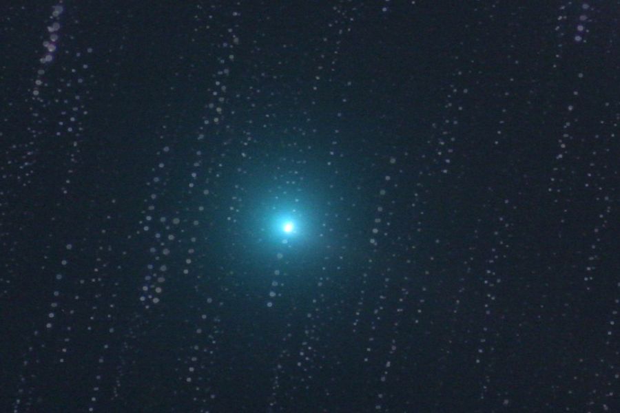 Cometa 8P/tuttle