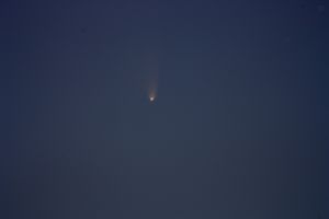 Cometa Panstarrs