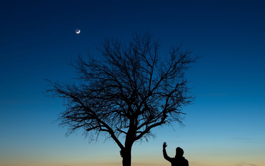 Salutando un falcetto di Luna crescente