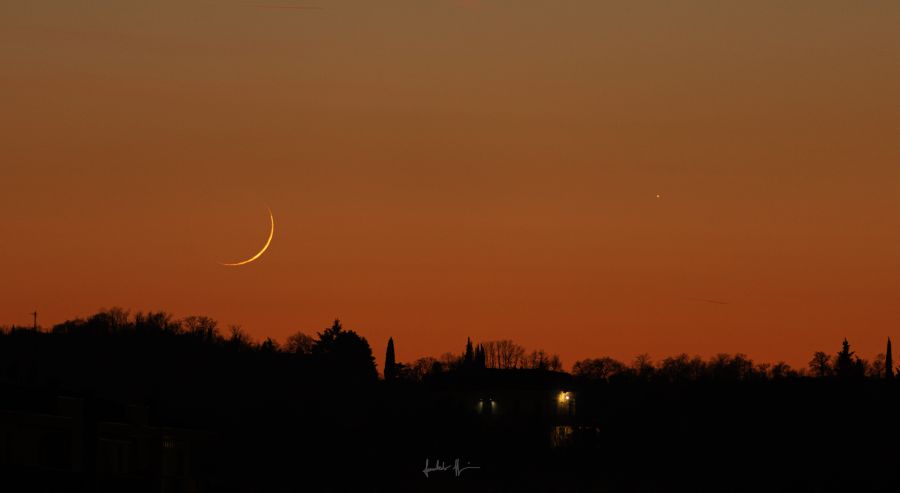 Falcetto con Saturno