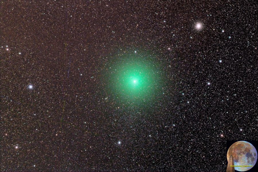 Cometa 252/P Linear