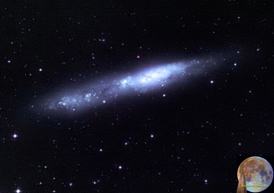 Galassia NGC 55