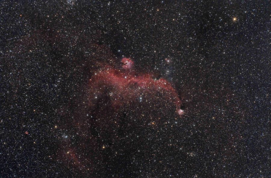 IC 2177 Seagull Nebula