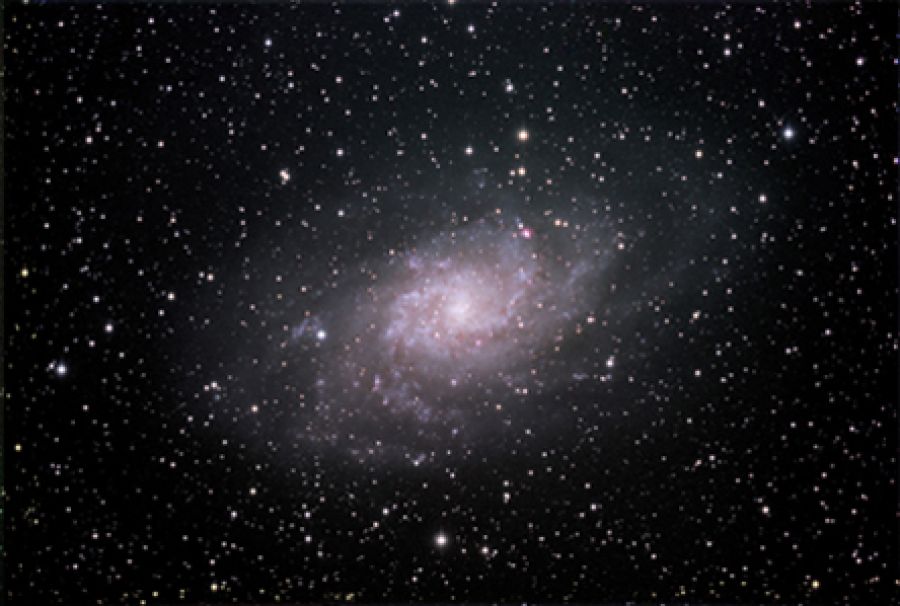 M33