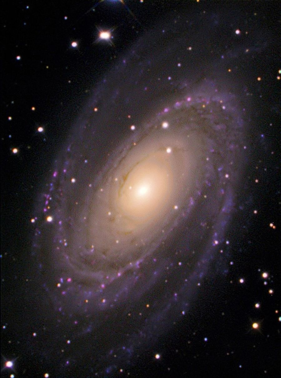 M81