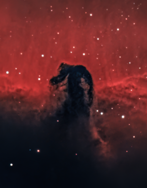 Nebulosa oscura Testa di cavallo B33