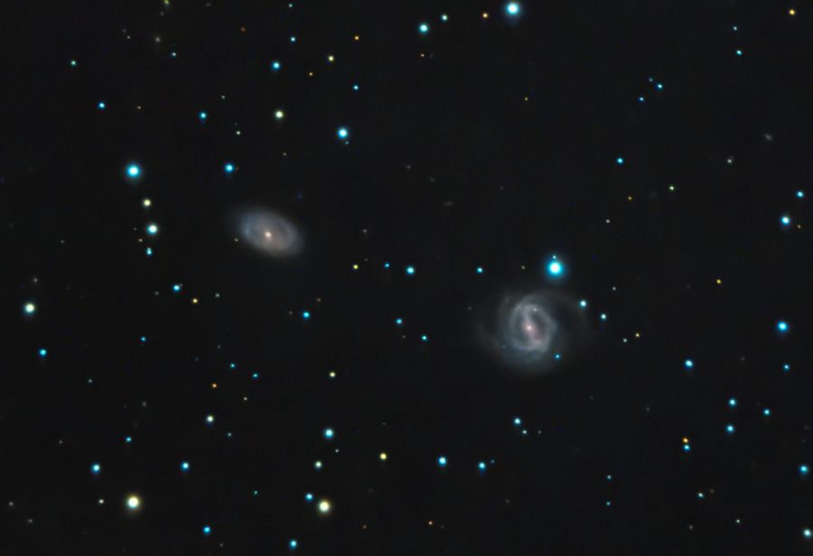 NGC2486/87 galassie