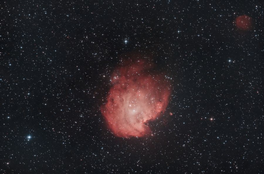 Nebulosa Testa di Scimmia