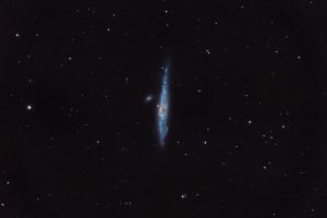 NGC4631