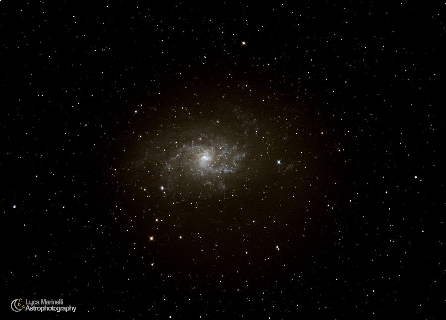 Galassia M33