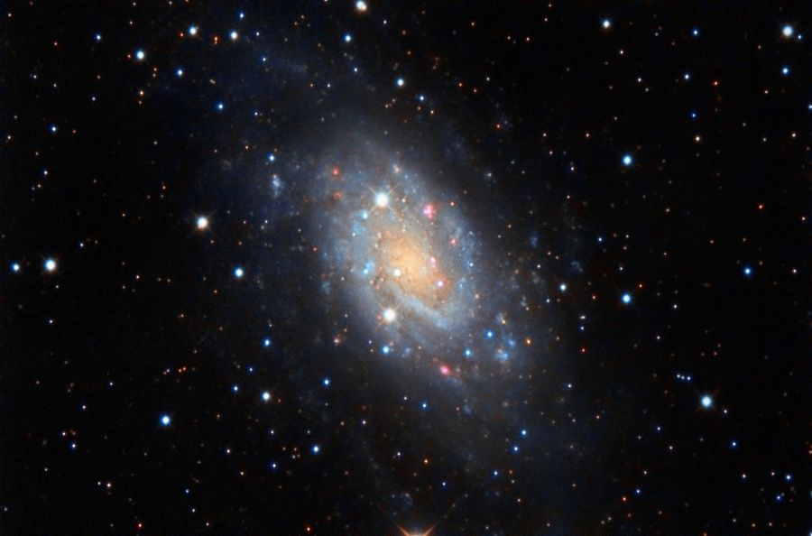 NGC 2403