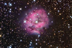 IC 5146 (Cocoon Nebula)