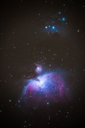 M42 Nebulosa di Orione