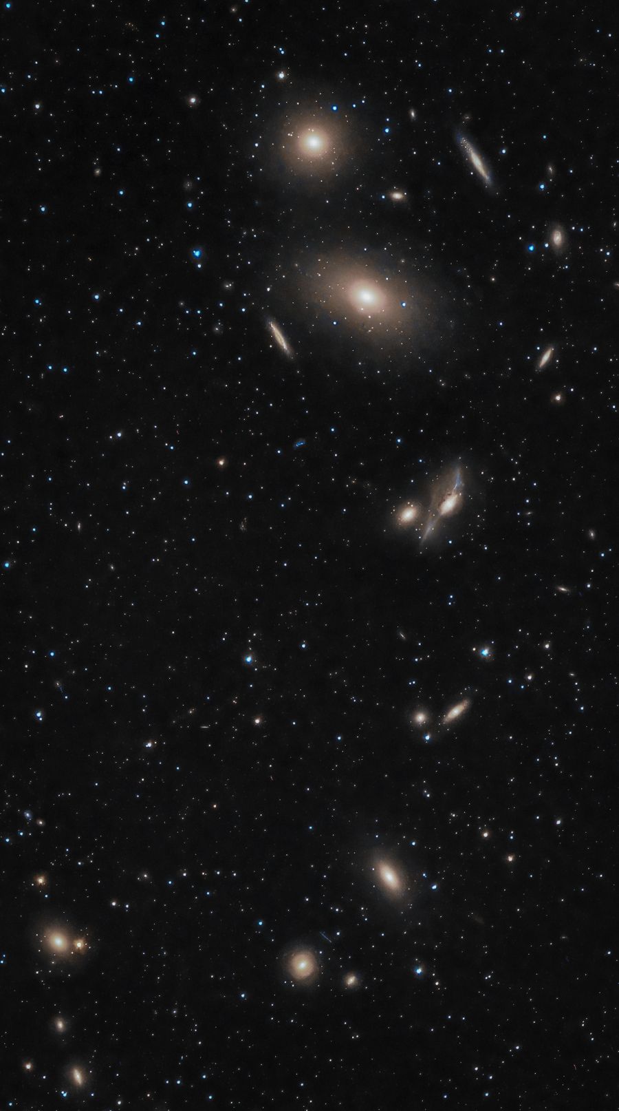 Markarian’s chain