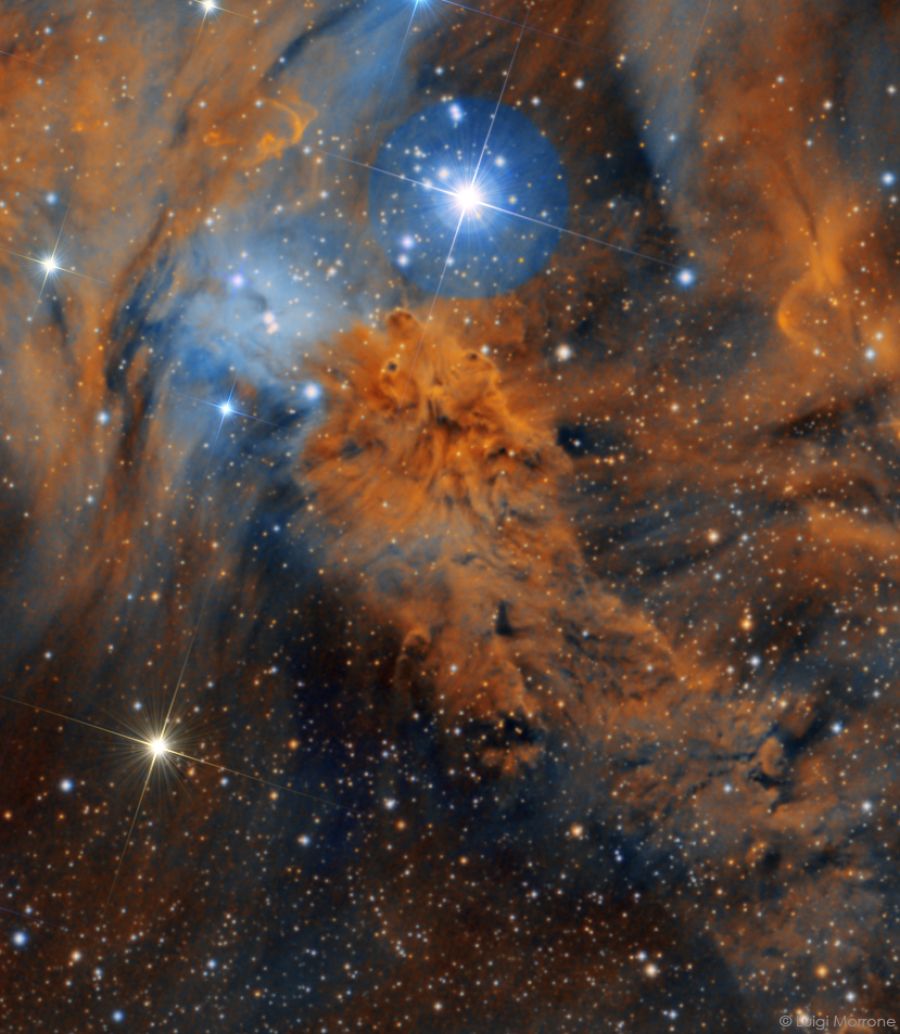 Nebulosa Pelliccia di Volpe