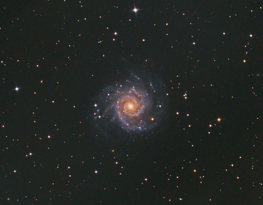 M74