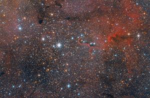 IC1396 - Elephant Trunk