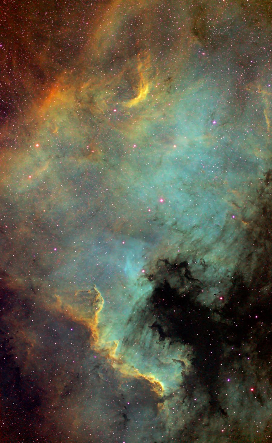 NGC7000 North America Nebula