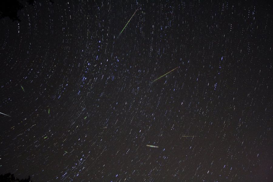 Startrail Perseidi 2016