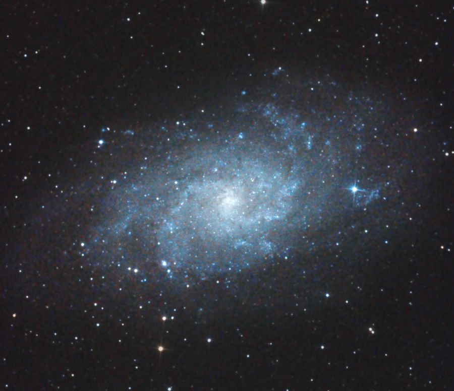 M33