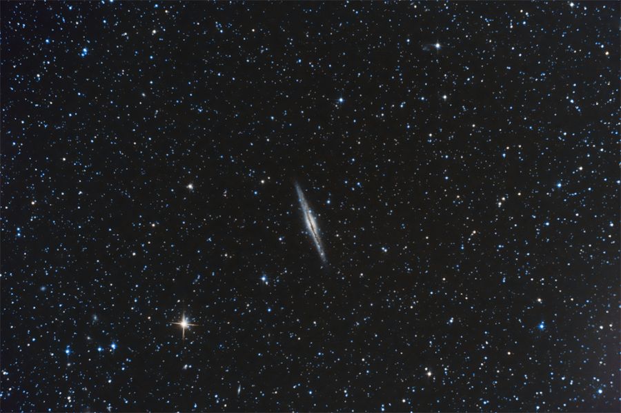 NGC891