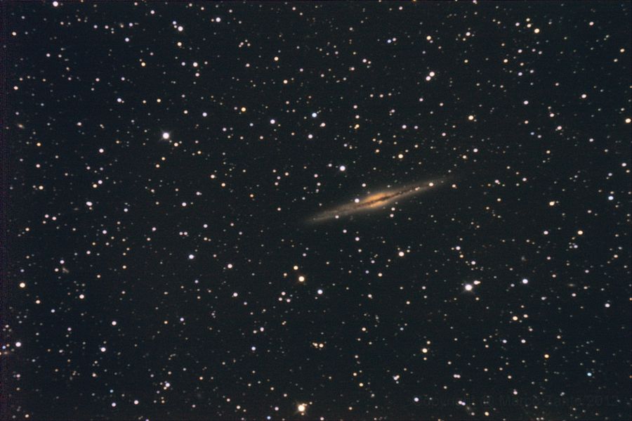 NGC 891