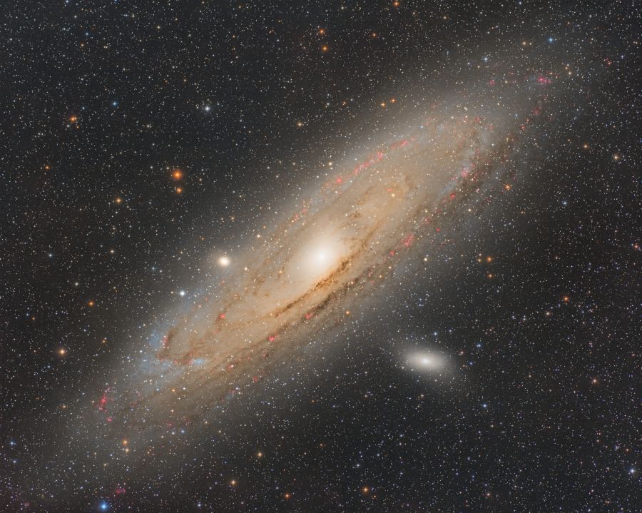 Galassia Andromeda (M31)