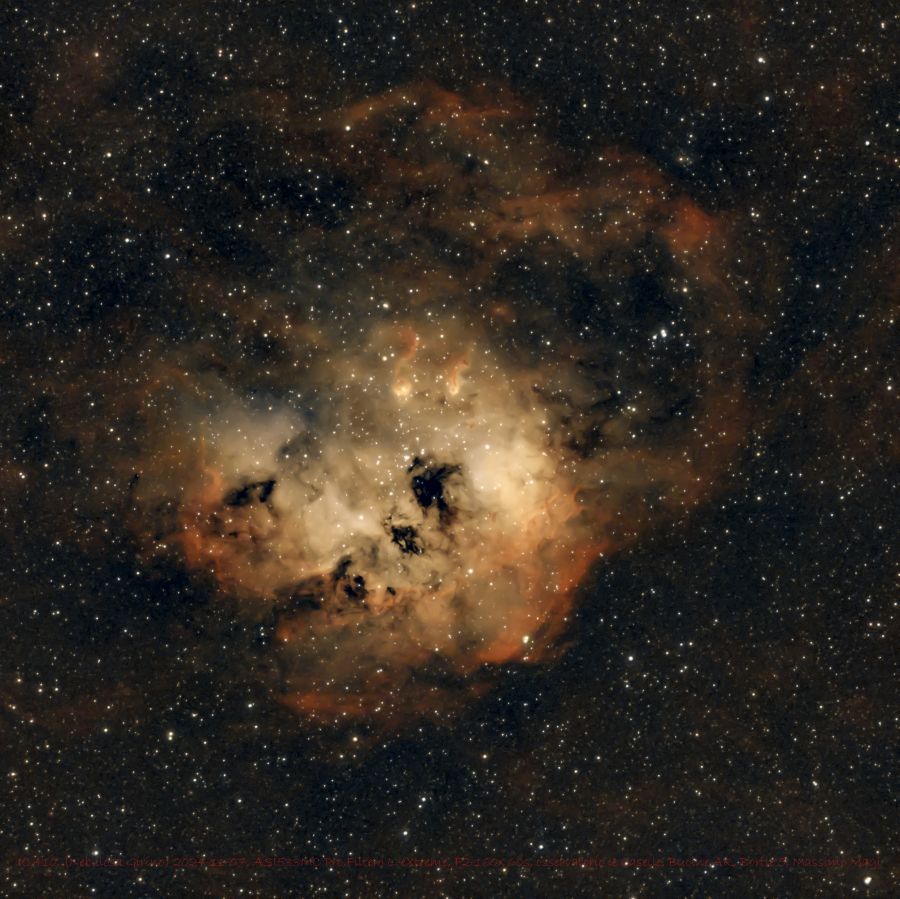 IC 410, Nebulosa Girino