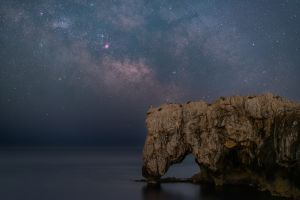 L'elefante ed il gabbiano sotto la via lattea