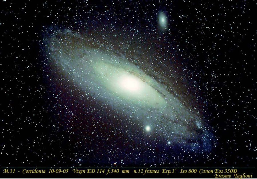 M31