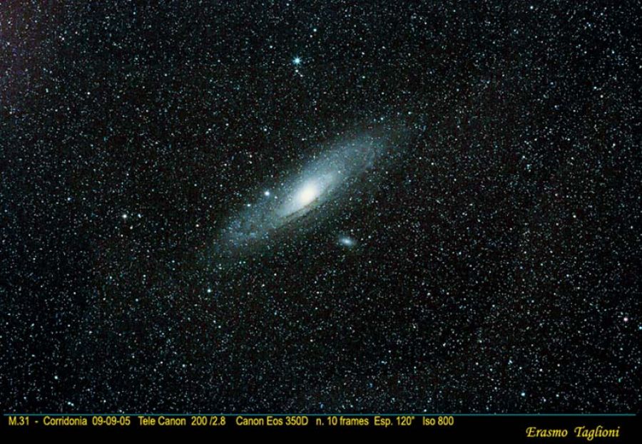 M31