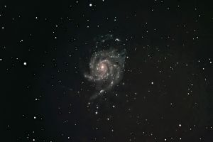 Galassia M101