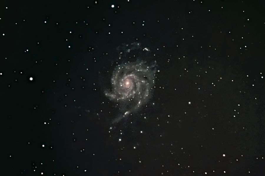 Galassia M101