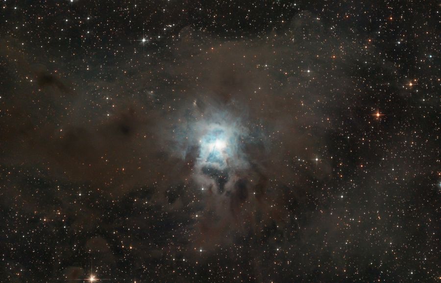 NEBULOSA IRIS ngc7023