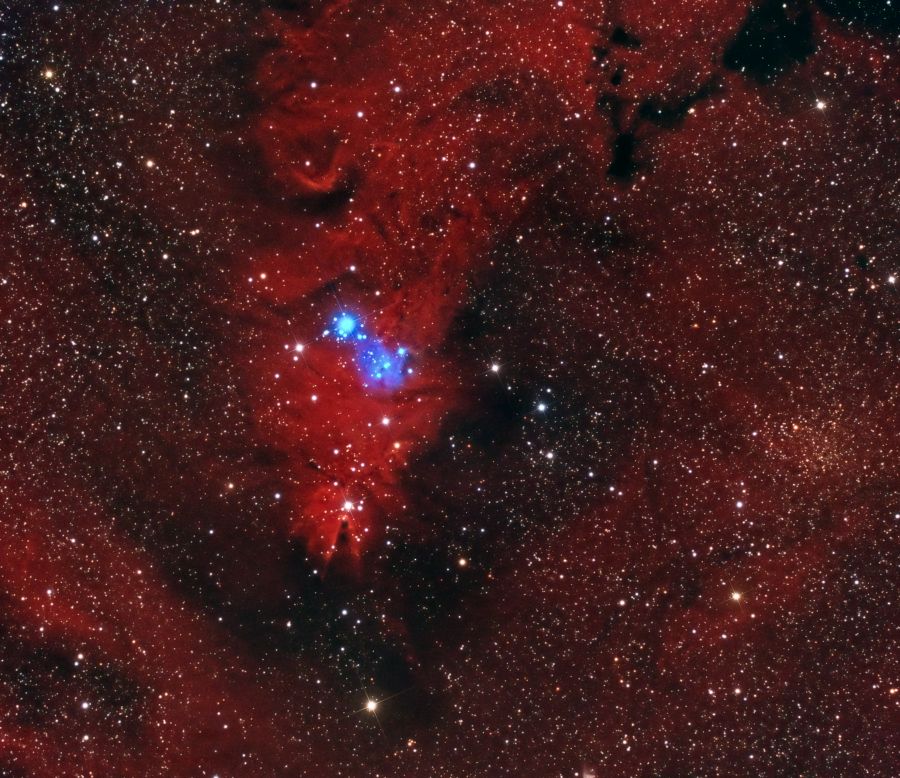 Nebulosa Cono