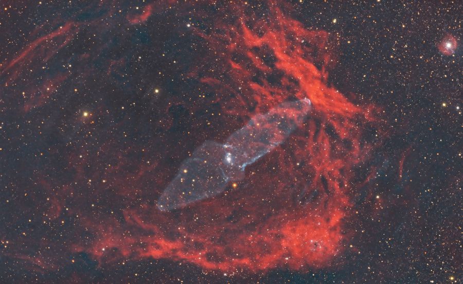 Squid Nebula