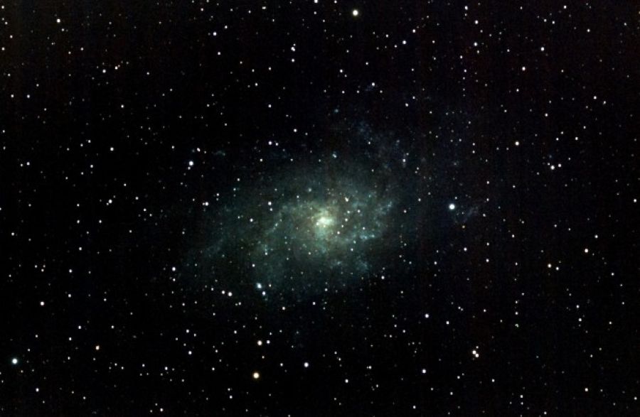 M33