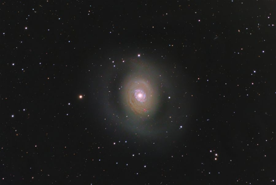 Messier 94 – Galassia Occhio di Coccodrillo