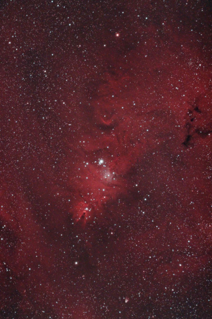 Largo campo sulla Nebulosa Cono