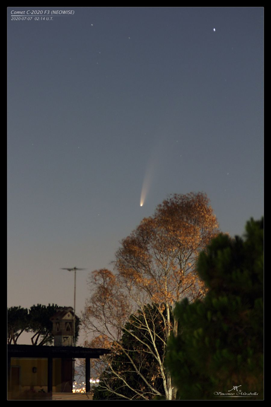 La cometa C-2020 F3 sorge dietro un albero.