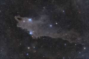 SHARK NEBULA