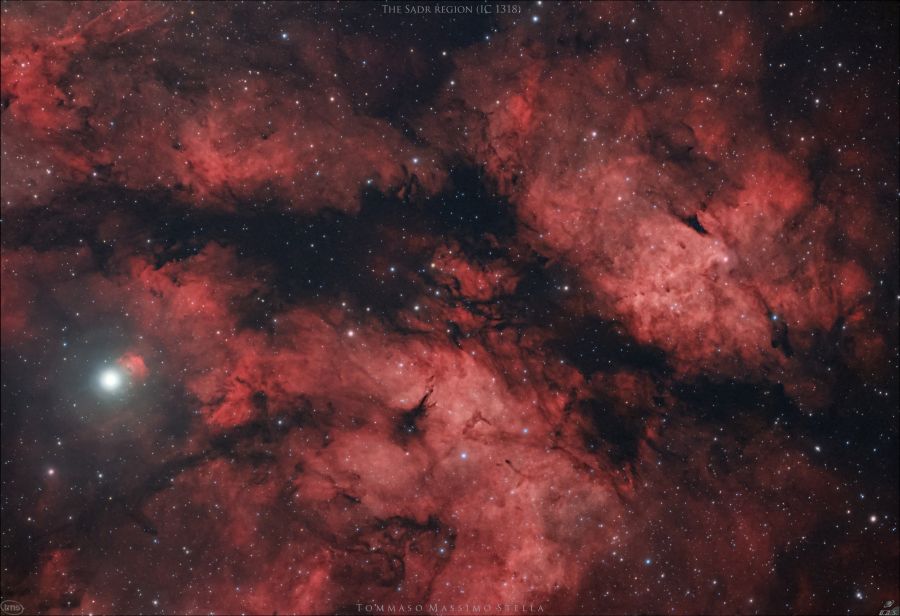 The Sadr region (IC 1318)