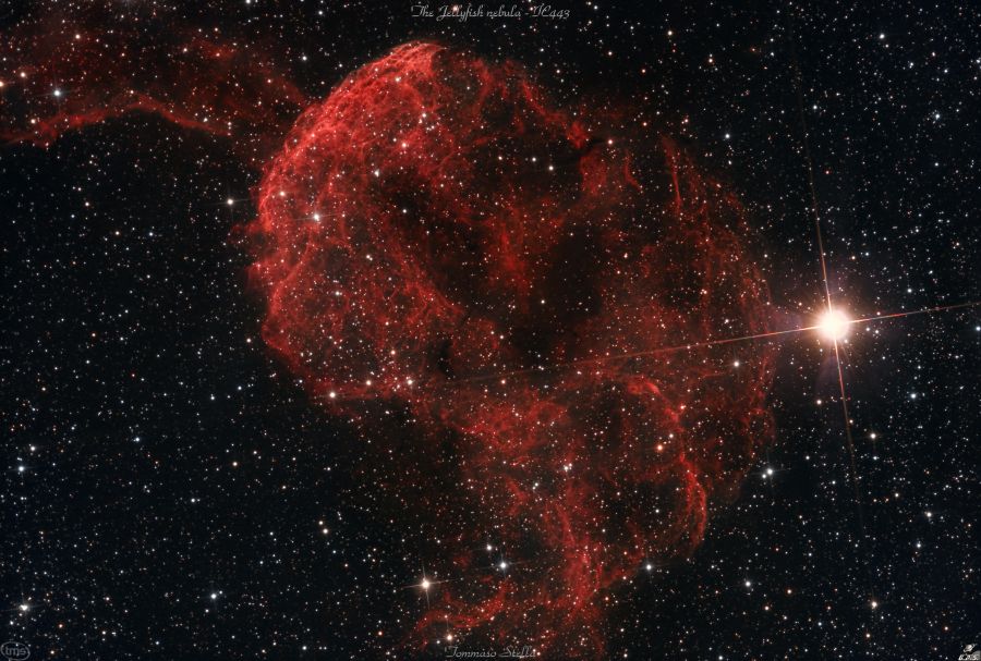 IC 443 Jellyfish Nebulosa Medusa