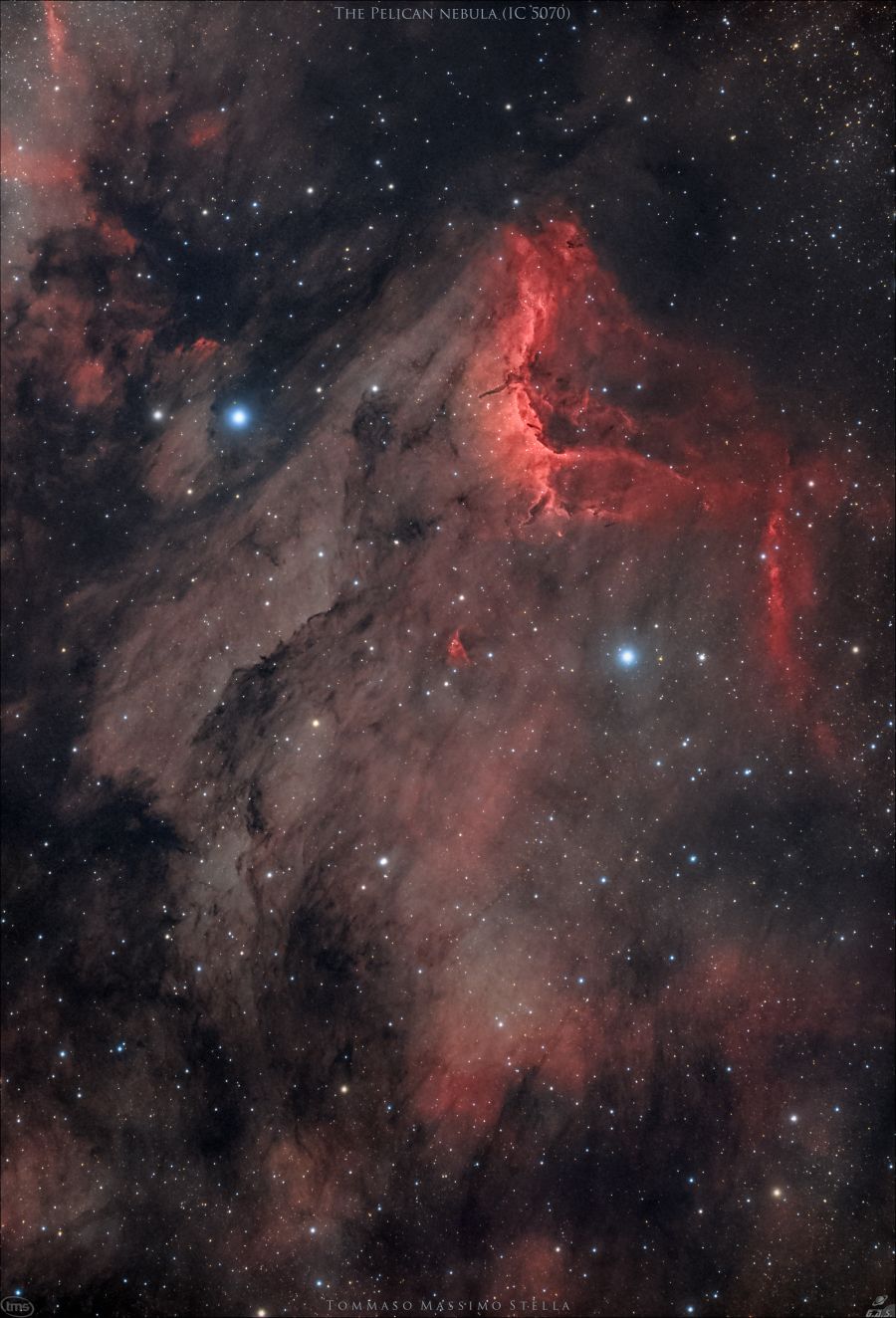 Nebulosa Pellicano