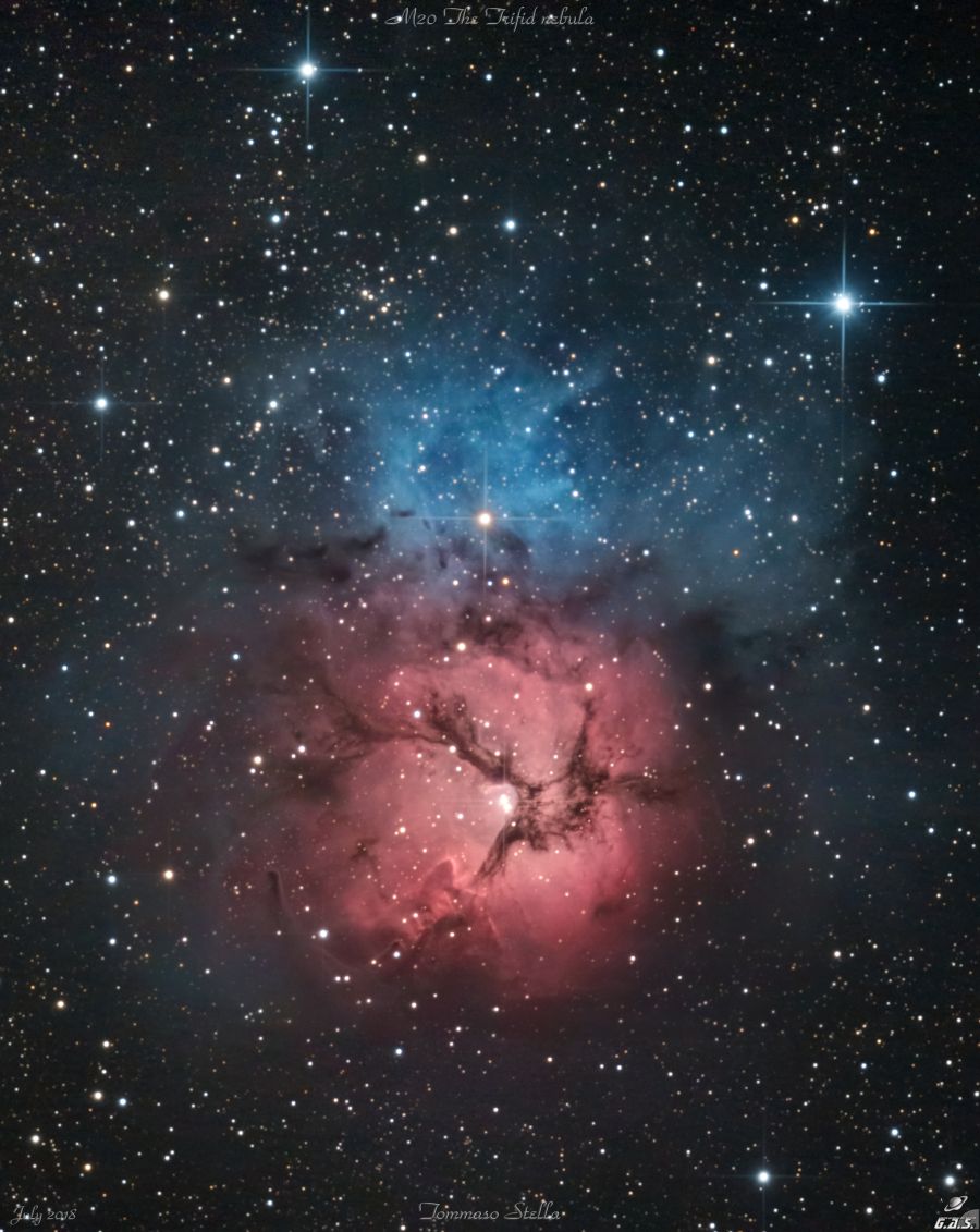 Nebulosa Trifida (M20 o NGC6514)