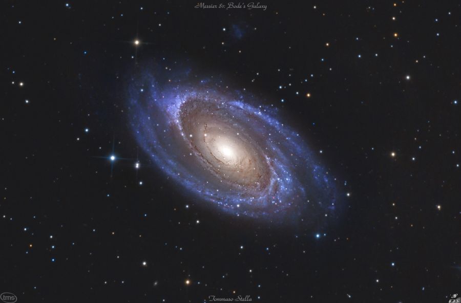 The Bode’s Galaxy M81 (NGC 3031)