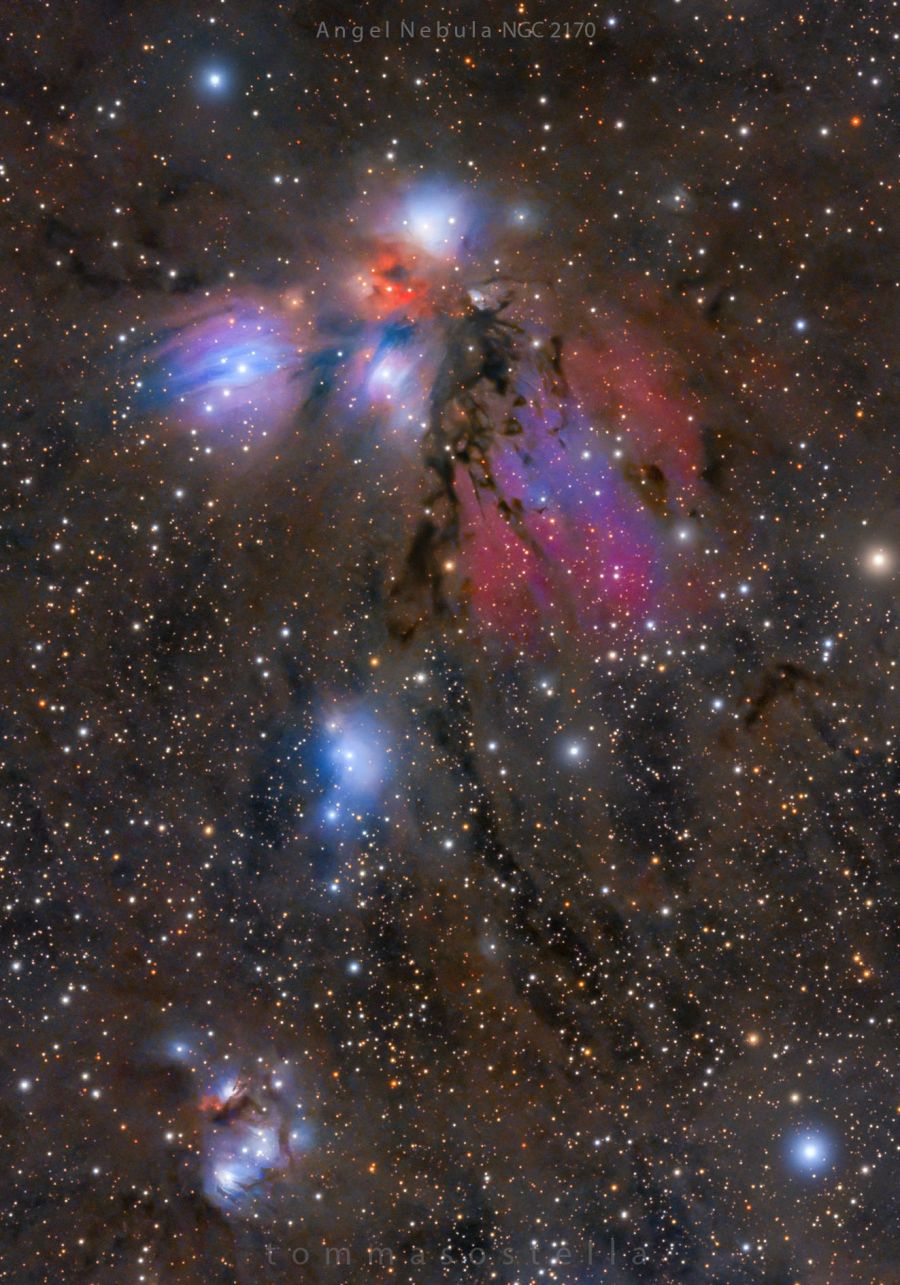 The Angel Nebula (NGC 2170)