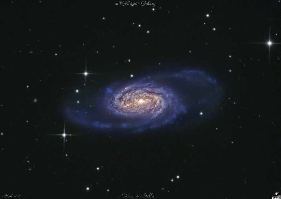 Galassia a spirale barrata NGC 2903