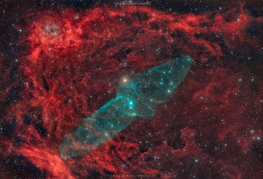 The Squid nebula (OU4)