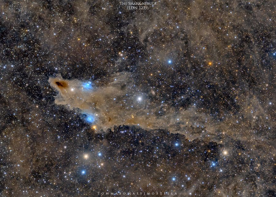 Nebulosa Squalo (LDN1235)